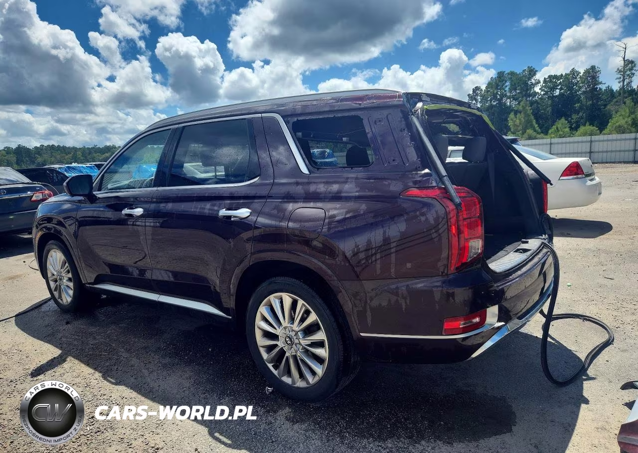 2020 Hyundai Palisade Limited VIN:KM8R5DHE6LU103044 - 2
