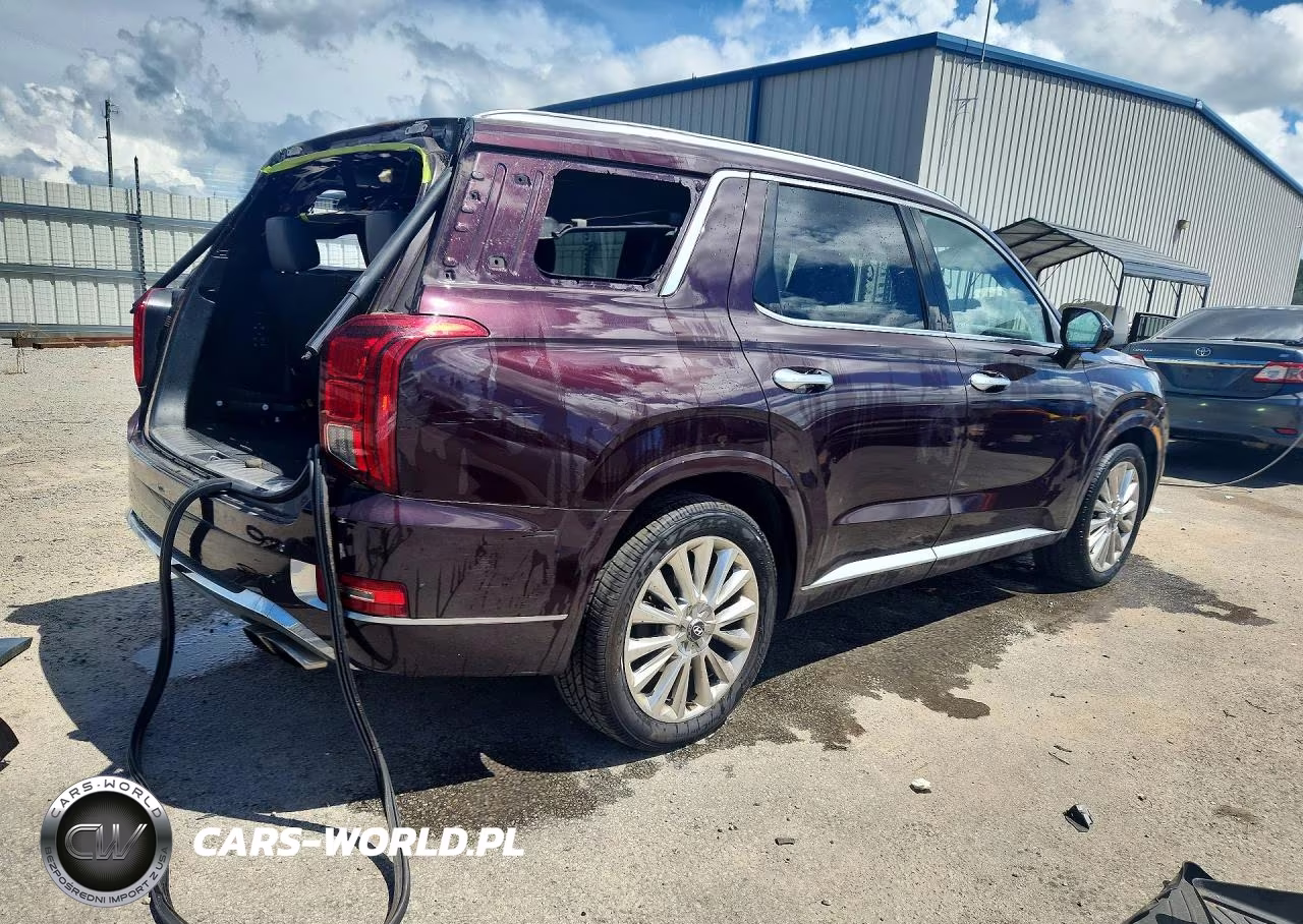 2020 Hyundai Palisade Limited VIN:KM8R5DHE6LU103044 - 3