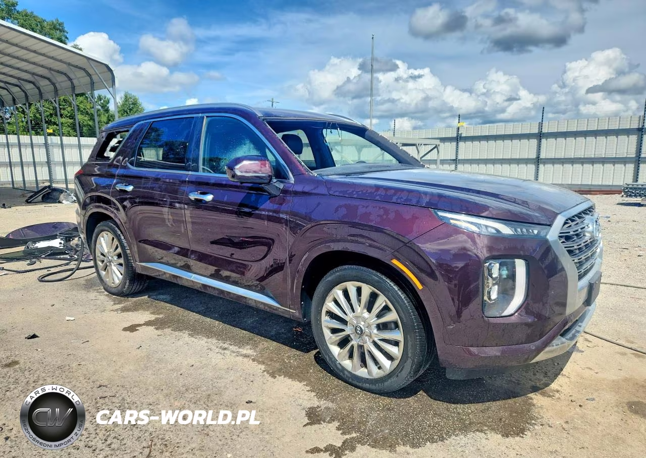 2020 Hyundai Palisade Limited VIN:KM8R5DHE6LU103044 - 4