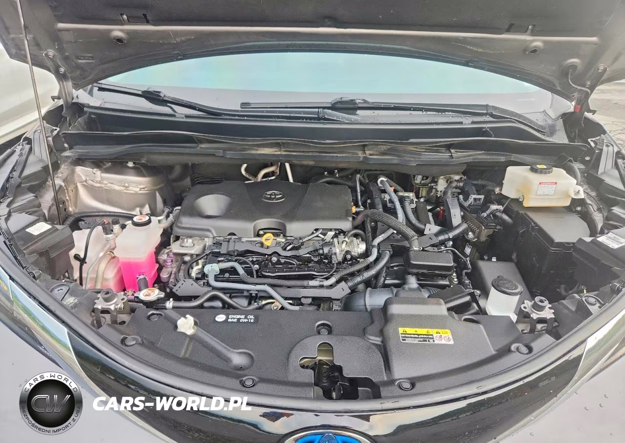2024 Toyota Sienna Xle VIN:5TDYRKEC7RS186394 - 12