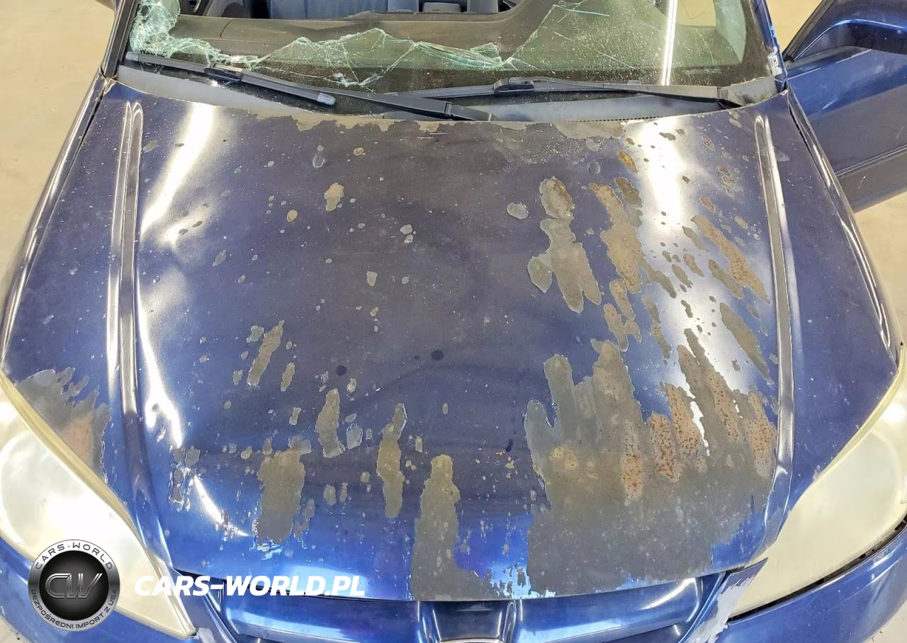 2004 Honda Civic Ex VIN:1HGES26874L020597 - 11