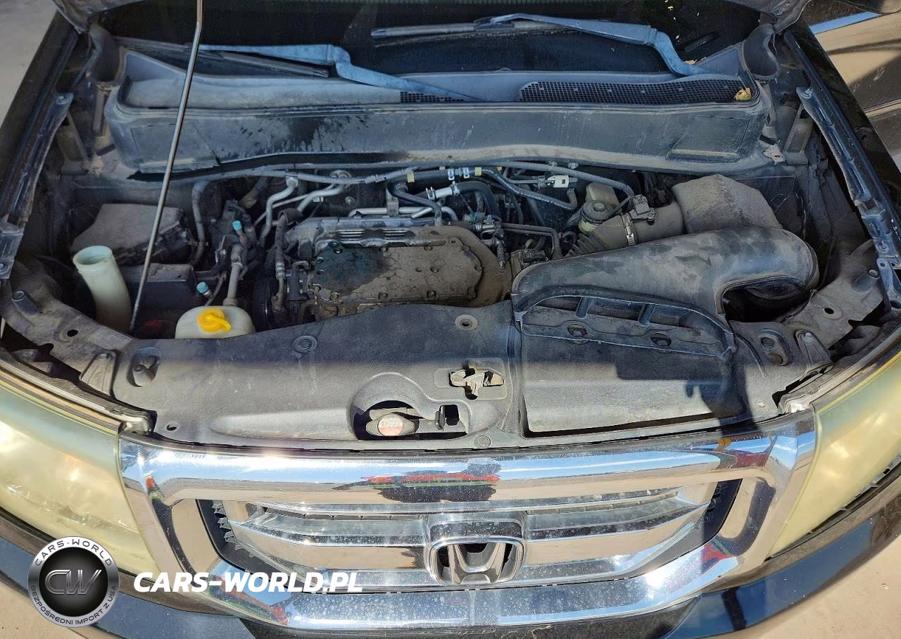 2009 Honda Pilot Lx VIN:5FNYF38269B025895 - 12