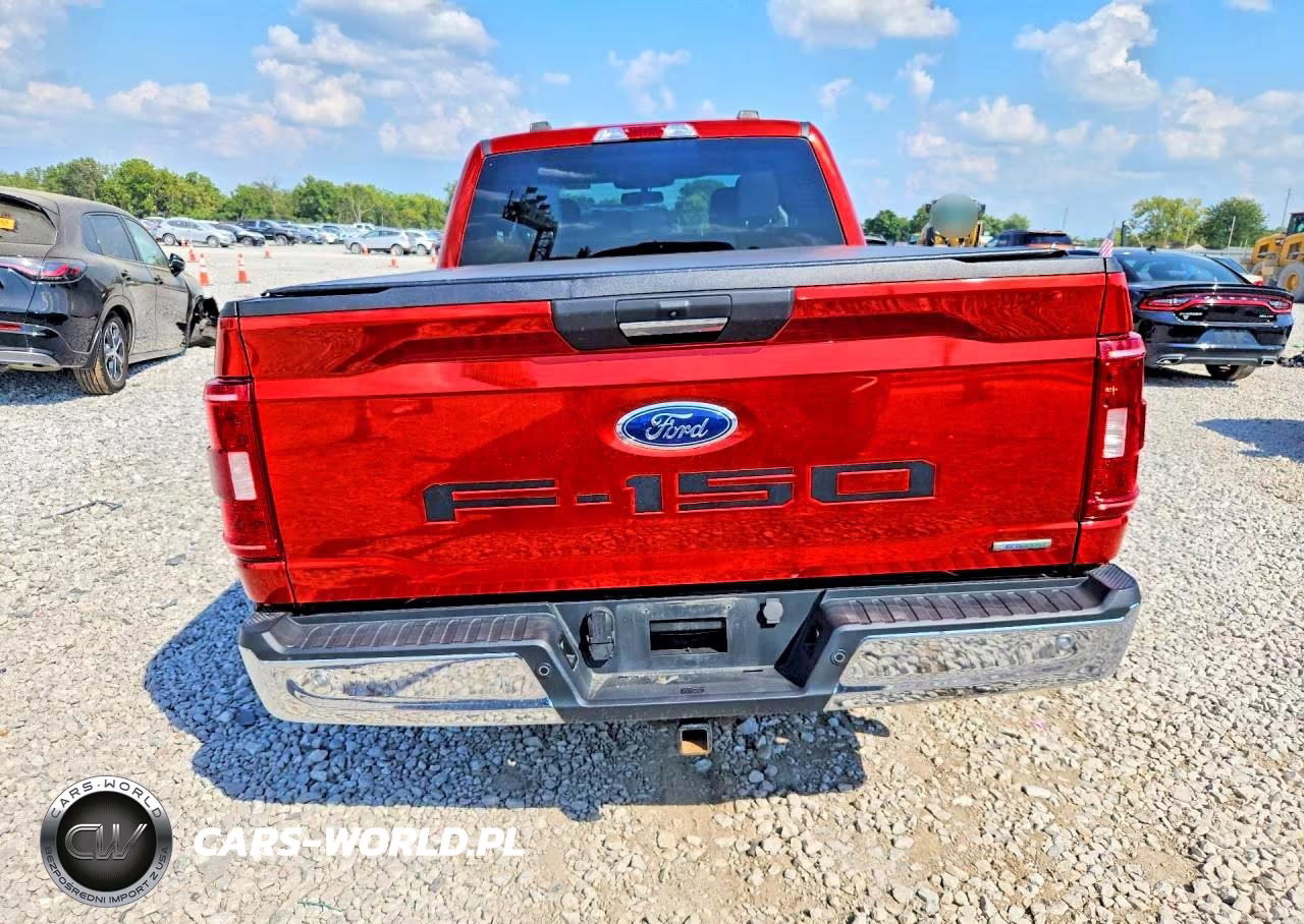 2023 Ford F150 Super Cab VIN:1FTEX1EP3PKD47995 - 6