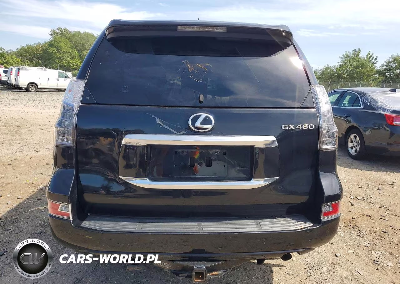 2021 Lexus Gx 460 Premium VIN:JTJAM7BX6M5287698 - 6