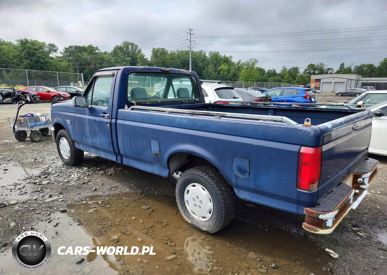 1993 Ford F150 VIN:1FTEF15N5PNB08643 - 2