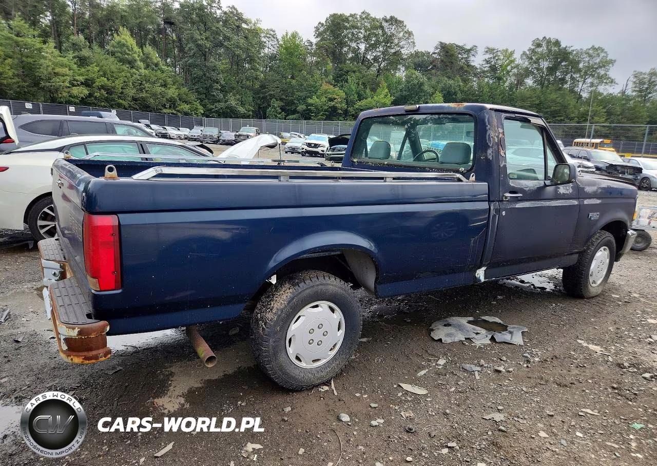 1993 Ford F150 VIN:1FTEF15N5PNB08643 - 3