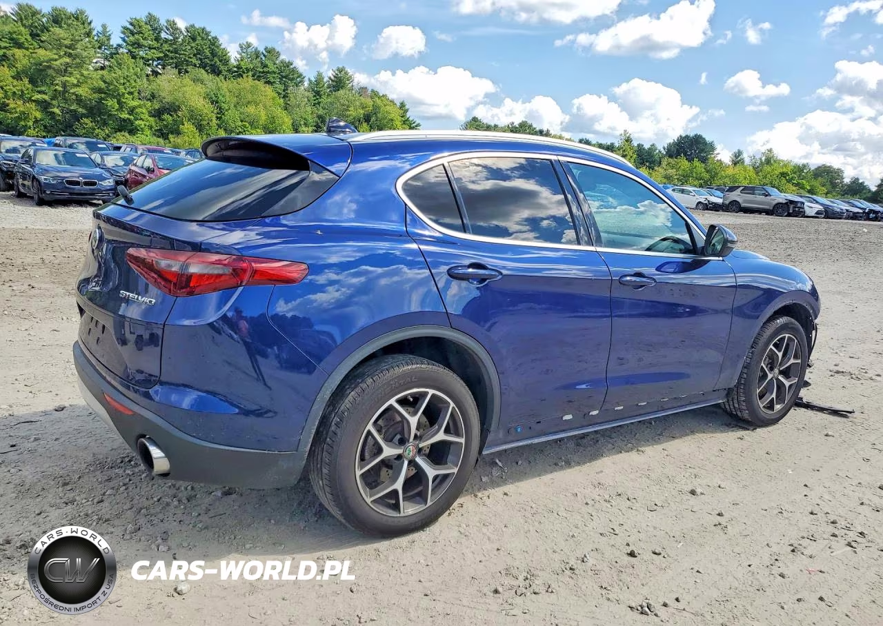2019 Alfa Romeo Stelvio Ti VIN:ZASPAKBN7K7C33438 - 3