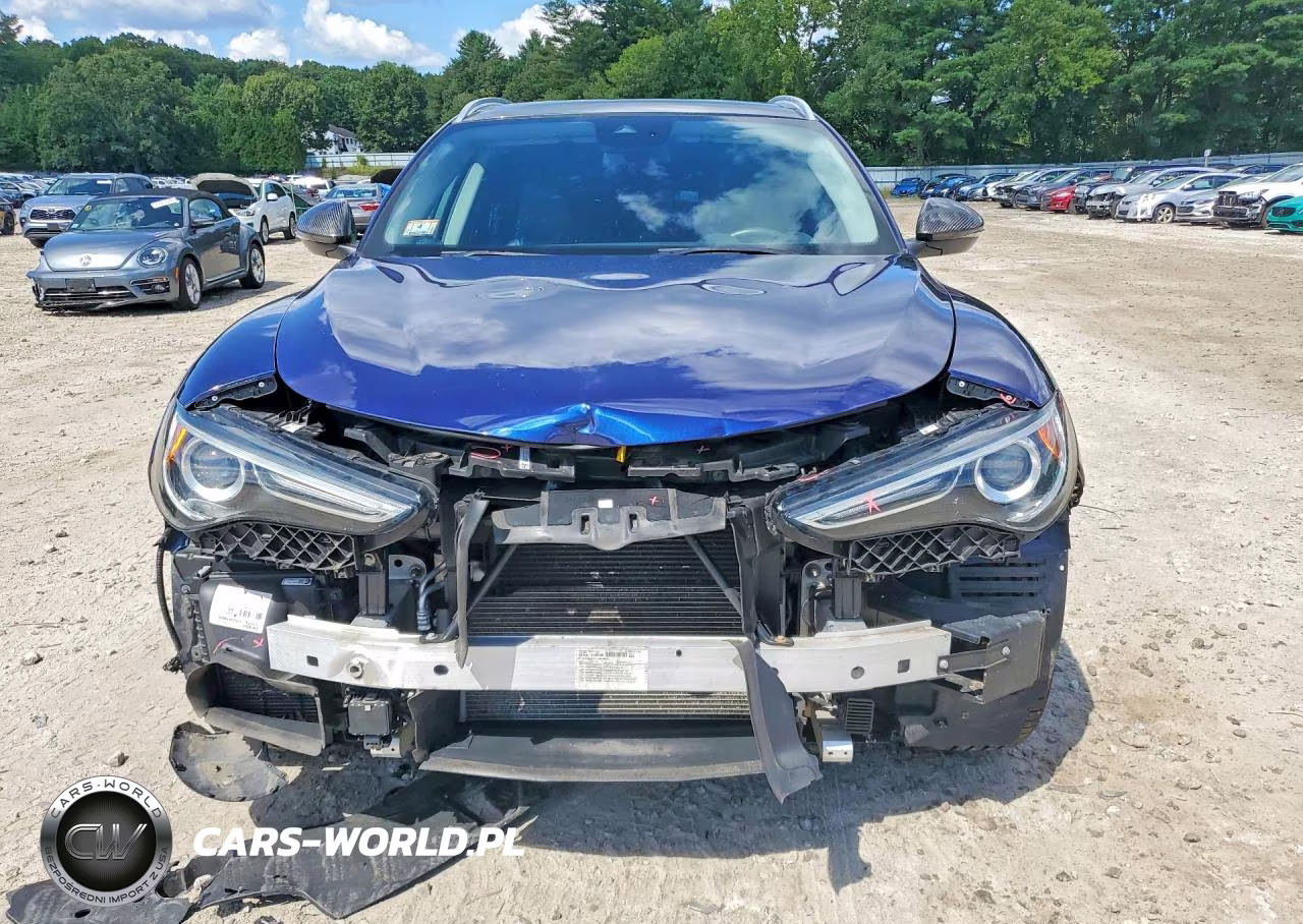 2019 Alfa Romeo Stelvio Ti VIN:ZASPAKBN7K7C33438 - 5