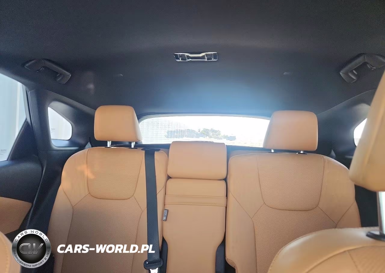 2023 Lexus Rx 350 Premium VIN:2T2BAMCA0PC022383 - 10