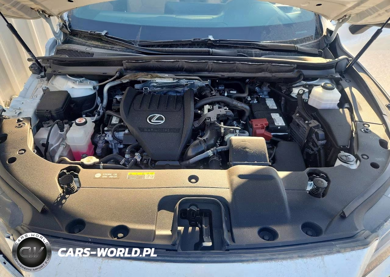 2023 Lexus Rx 350 Premium VIN:2T2BAMCA0PC022383 - 12