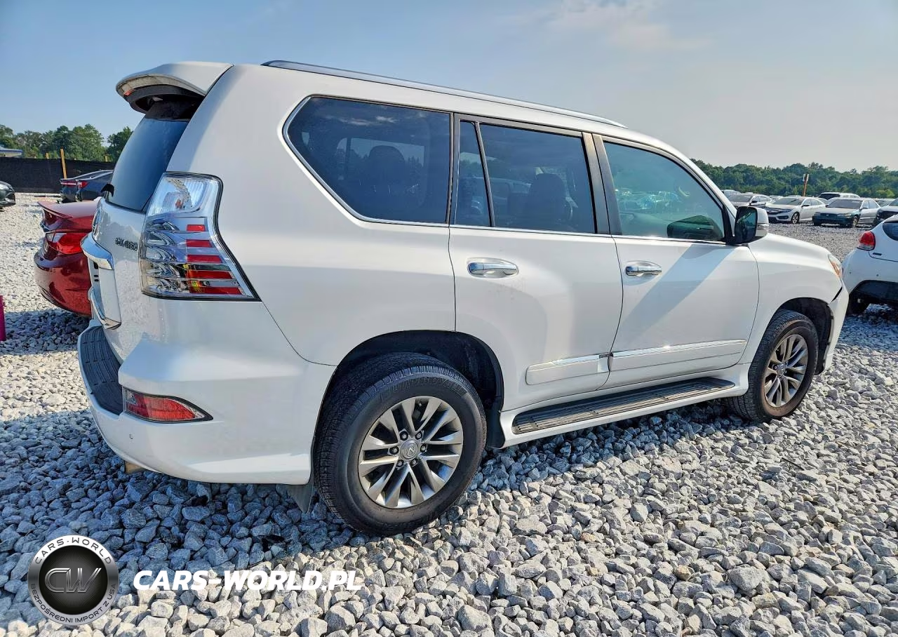 2018 Lexus Gx 460 Premium VIN:JTJJM7FX0J5186503 - 3