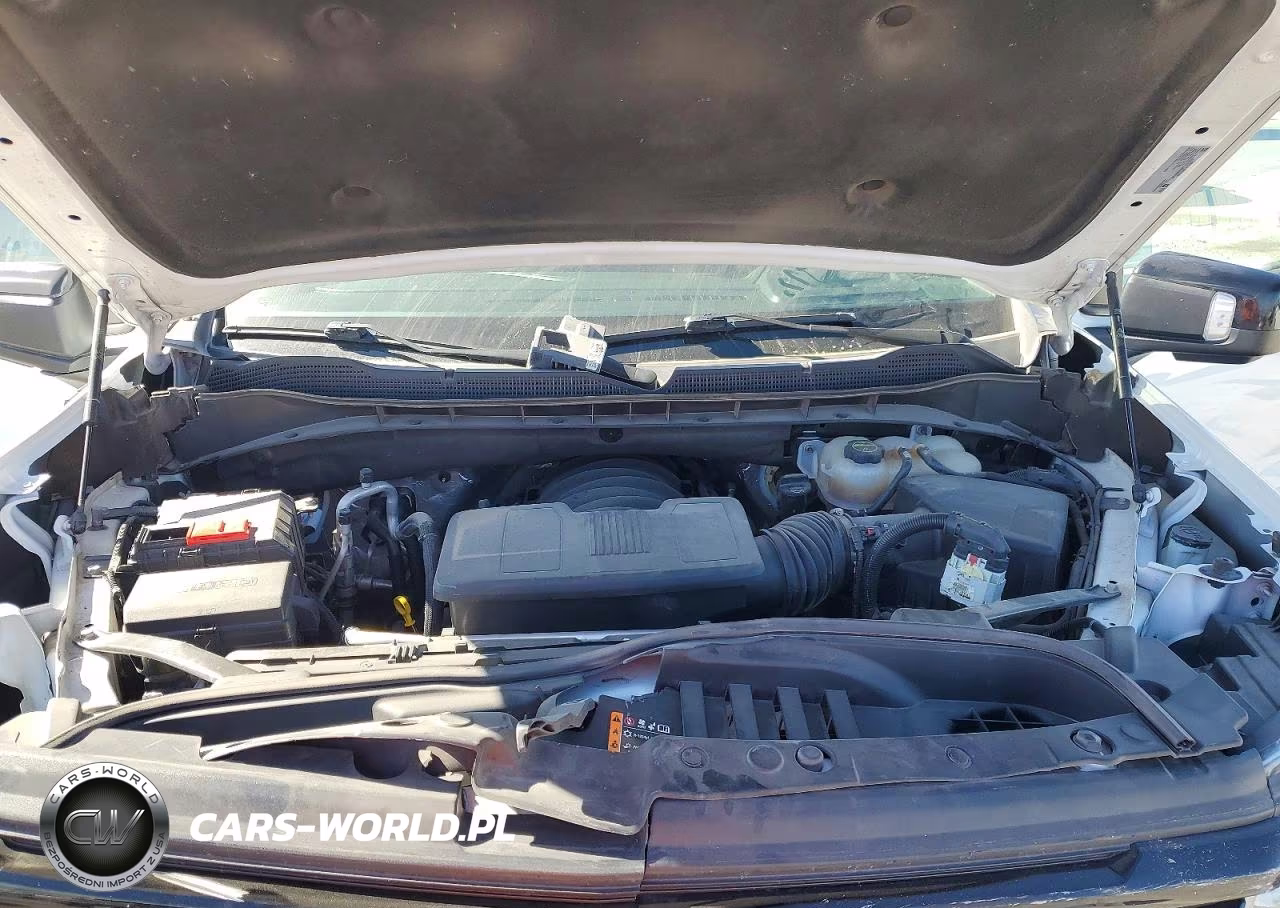 2024 Chevrolet Silverado K1500 Lt Trail Boss VIN:3GCUDFED3RG165263 - 11