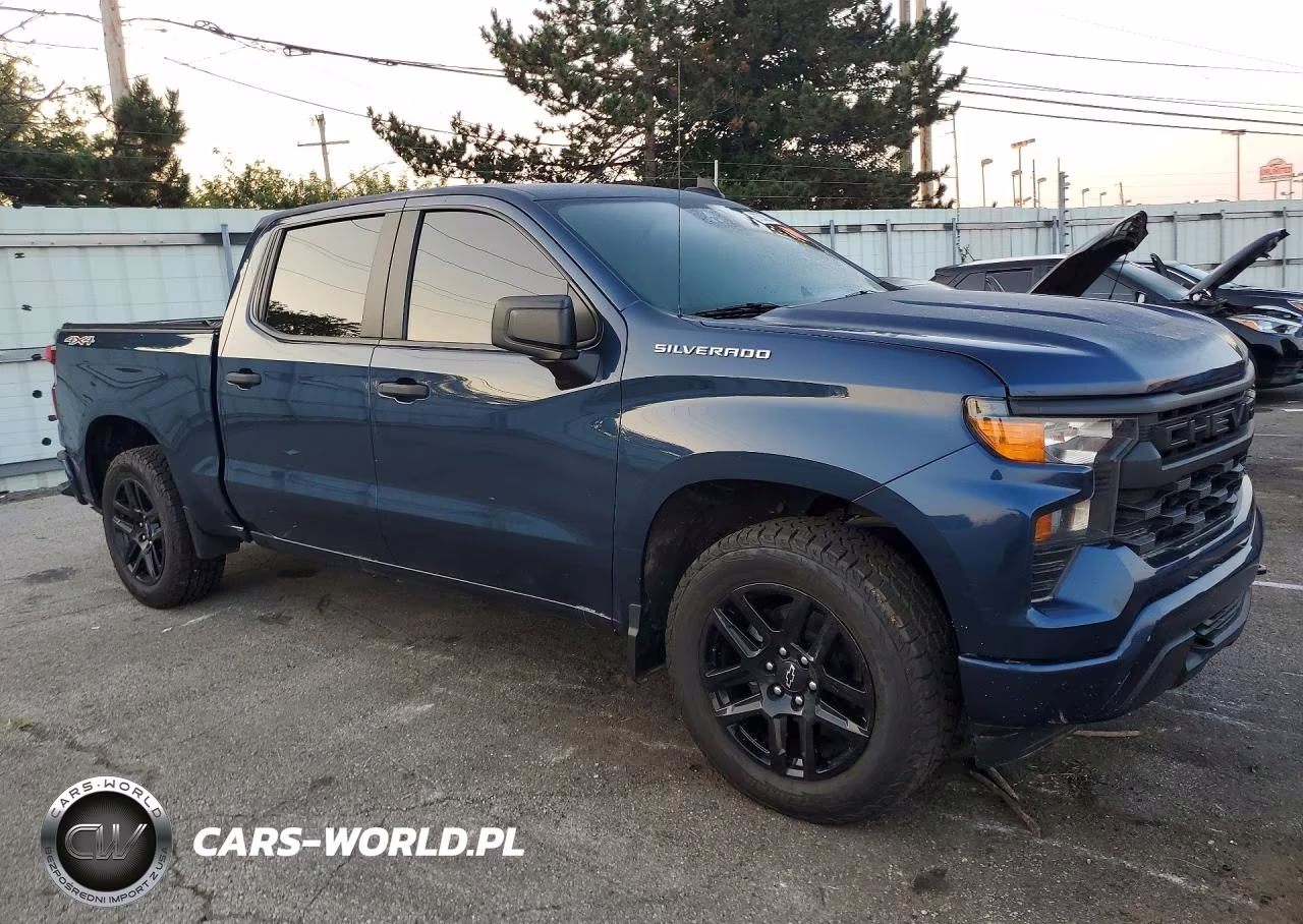 2022 Chevrolet Silverado K1500 Custom VIN:1GCPDBEK2NZ506232 - 4