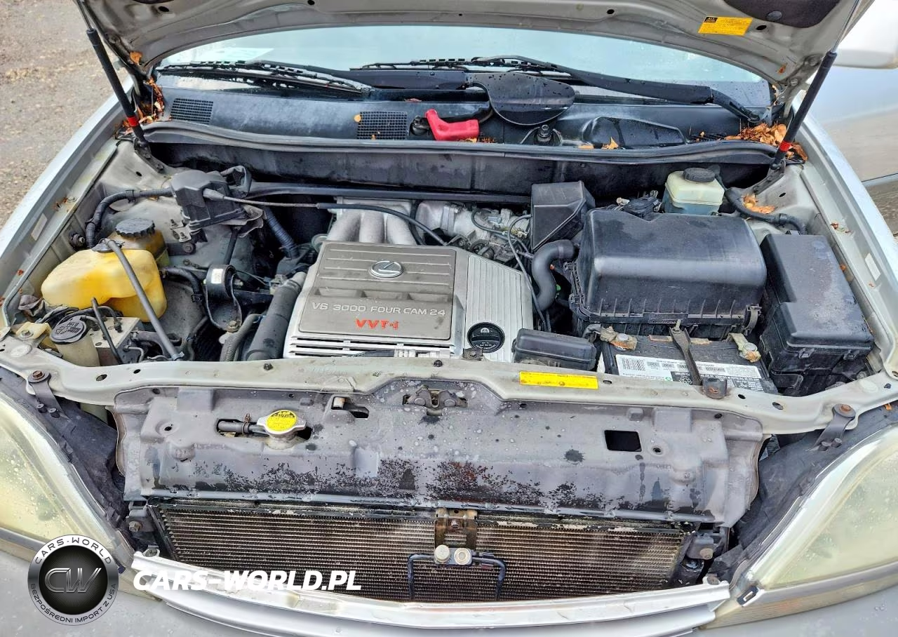 2002 Lexus Rx 300 VIN:JTJGF10U520140468 - 12