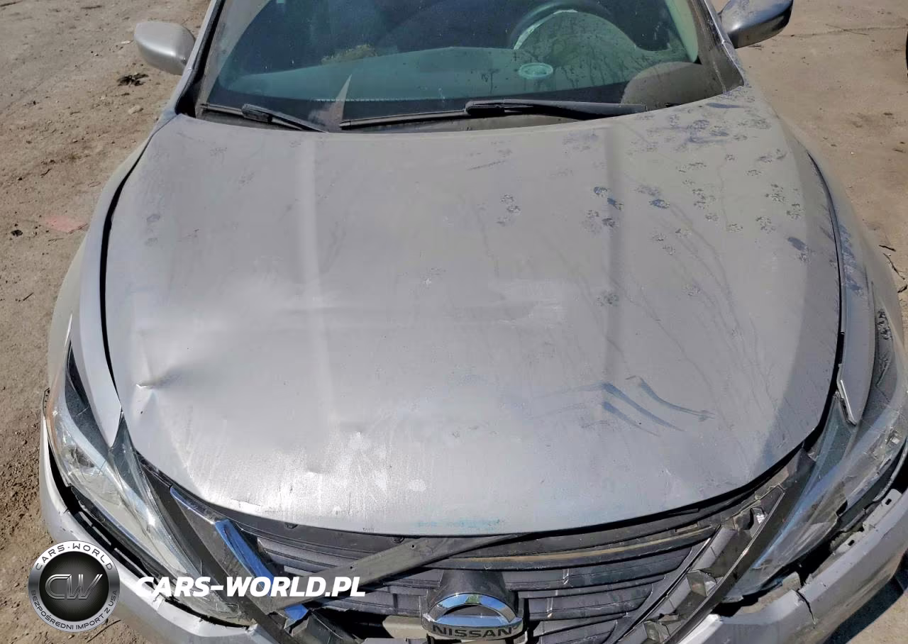 2016 Nissan Altima 2.5 S VIN:1N4AL3AP9GC145481 - 11