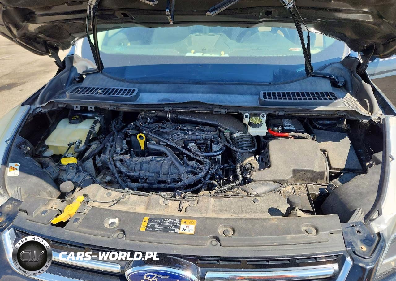 2014 Ford Escape Titanium VIN:1FMCU0JX6EUB13959 - 12