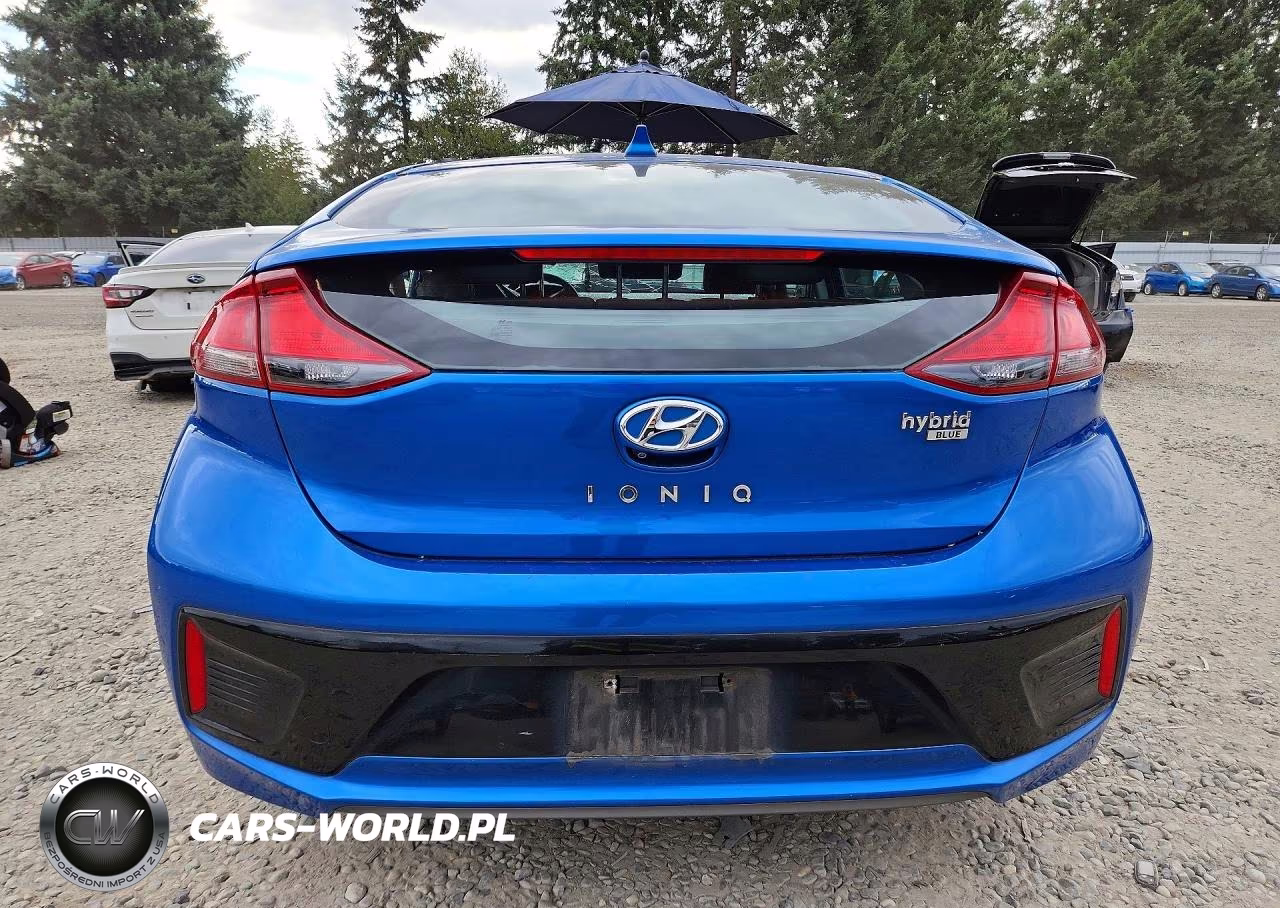 2018 Hyundai Ioniq Blue VIN:KMHC65LC1JU071969 - 6