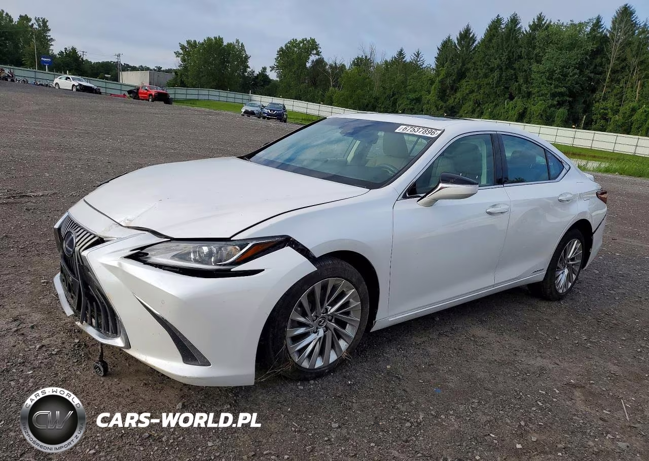2021 Lexus Es 300H Luxury VIN:58AEA1C12MU010111 - 1