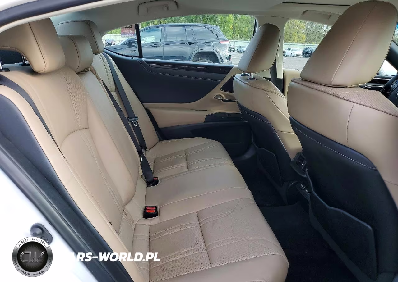 2021 Lexus Es 300H Luxury VIN:58AEA1C12MU010111 - 10