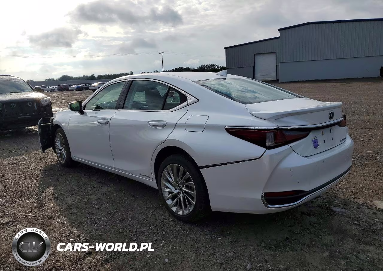 2021 Lexus Es 300H Luxury VIN:58AEA1C12MU010111 - 2