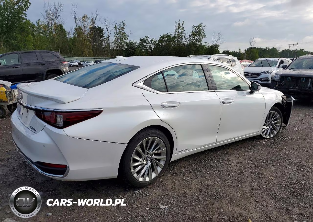 2021 Lexus Es 300H Luxury VIN:58AEA1C12MU010111 - 3