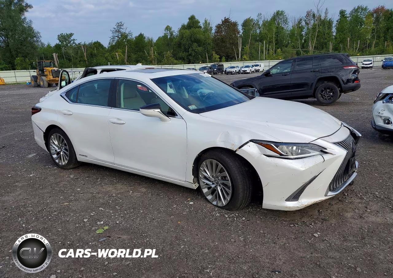 2021 Lexus Es 300H Luxury VIN:58AEA1C12MU010111 - 4