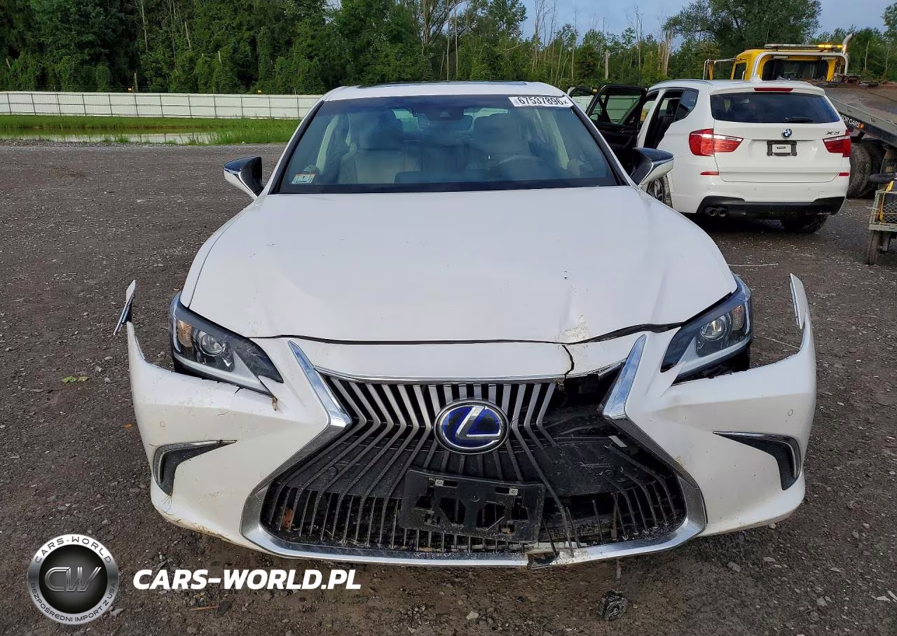 2021 Lexus Es 300H Luxury VIN:58AEA1C12MU010111 - 5