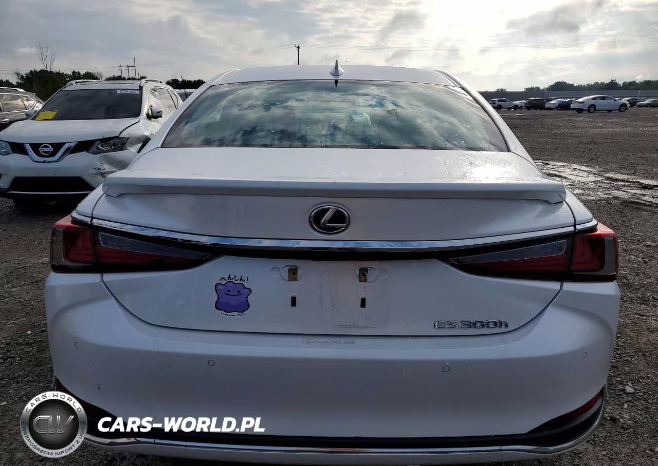 2021 Lexus Es 300H Luxury VIN:58AEA1C12MU010111 - 6