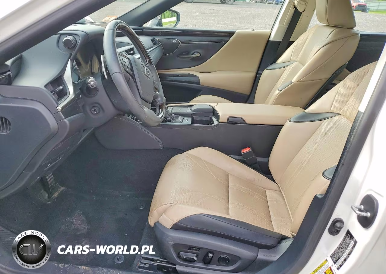 2021 Lexus Es 300H Luxury VIN:58AEA1C12MU010111 - 7