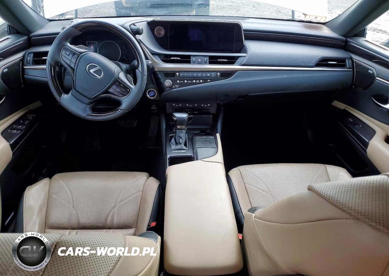 2021 Lexus Es 300H Luxury VIN:58AEA1C12MU010111 - 8