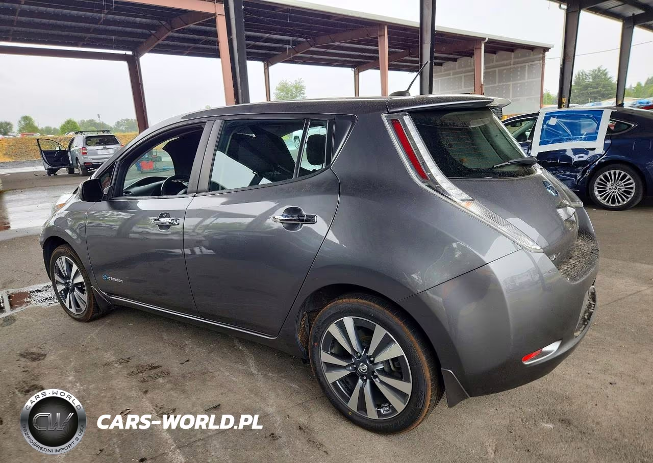 2017 Nissan Leaf Sv VIN:1N4BZ0CPXHC303097 - 2