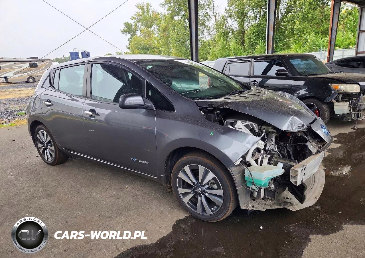 2017 Nissan Leaf Sv VIN:1N4BZ0CPXHC303097 - 4