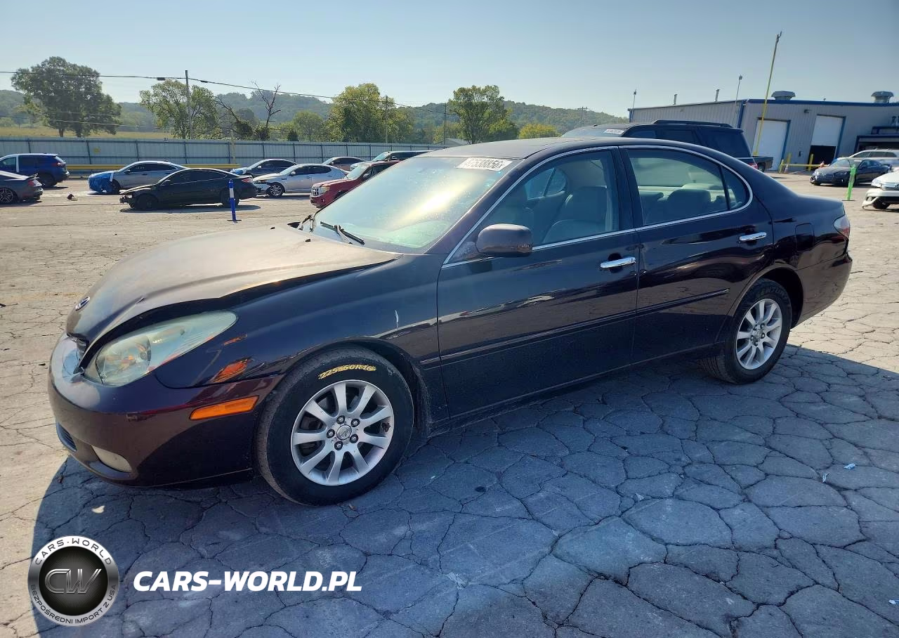 2004 Lexus Es 330 VIN:JTHBA30G445047558 - 1