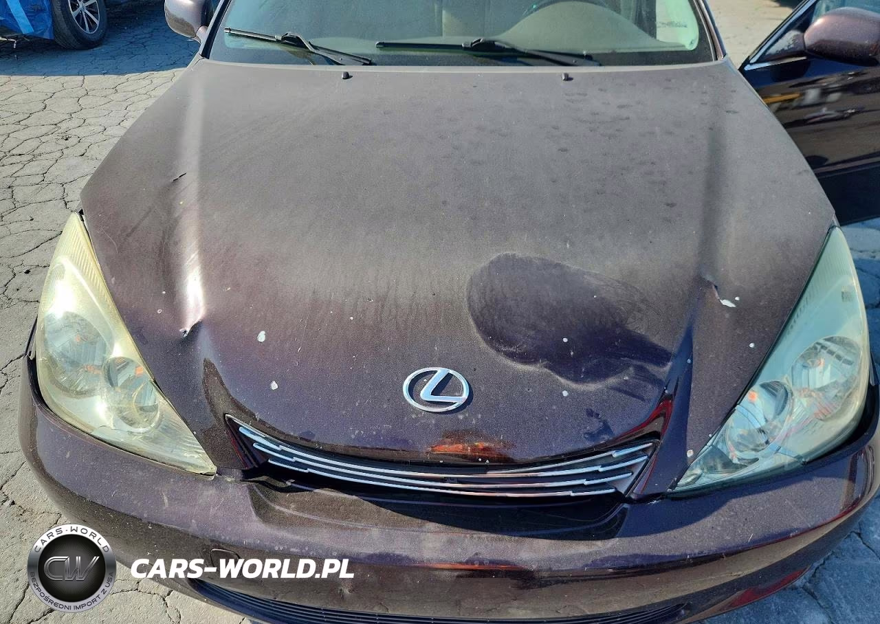 2004 Lexus Es 330 VIN:JTHBA30G445047558 - 11