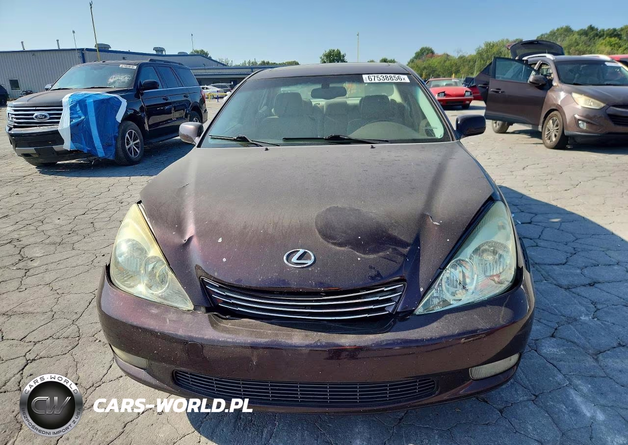 2004 Lexus Es 330 VIN:JTHBA30G445047558 - 5