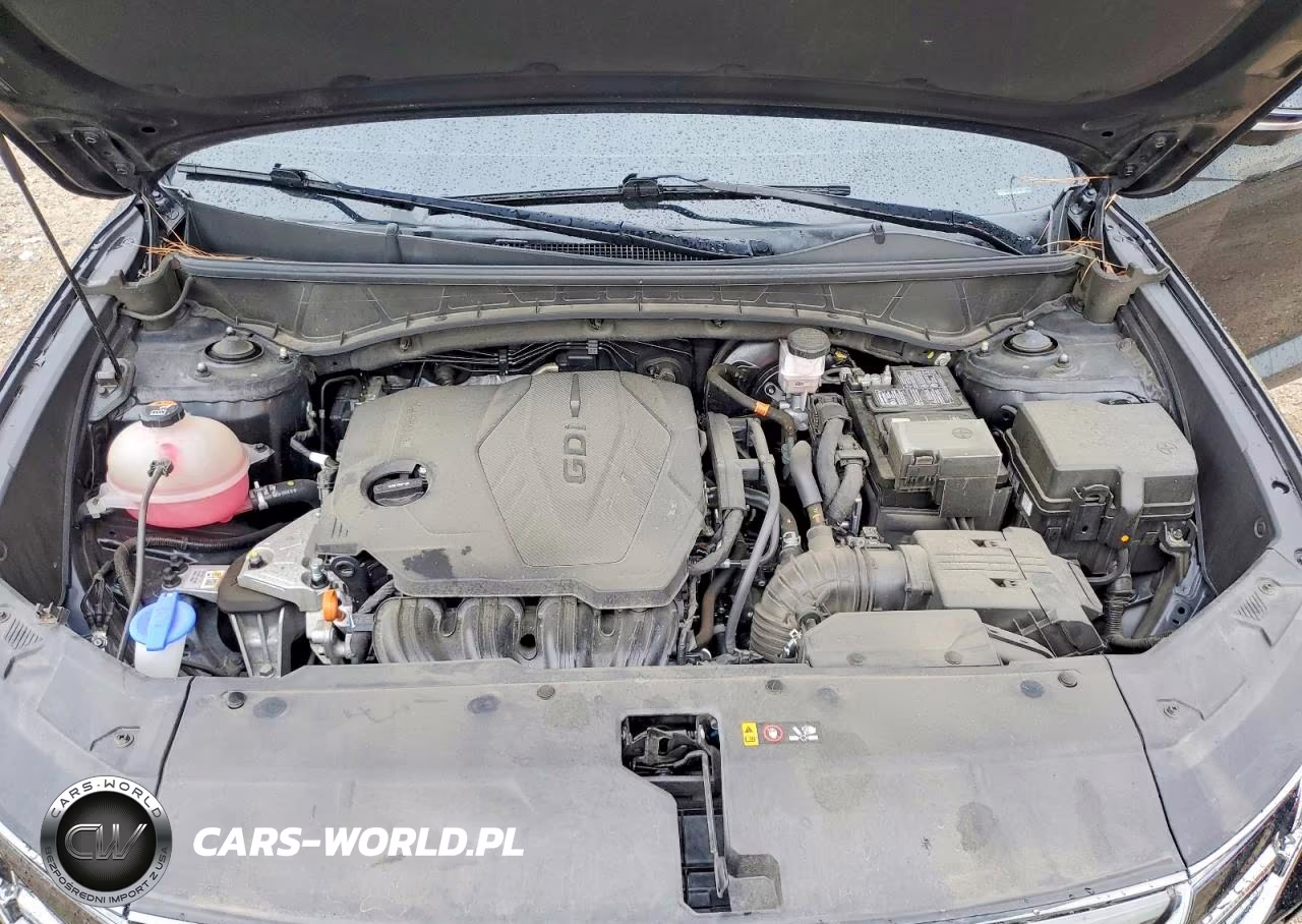 2024 Hyundai Tucson Limited VIN:5NMJE3DE4RH351049 - 11