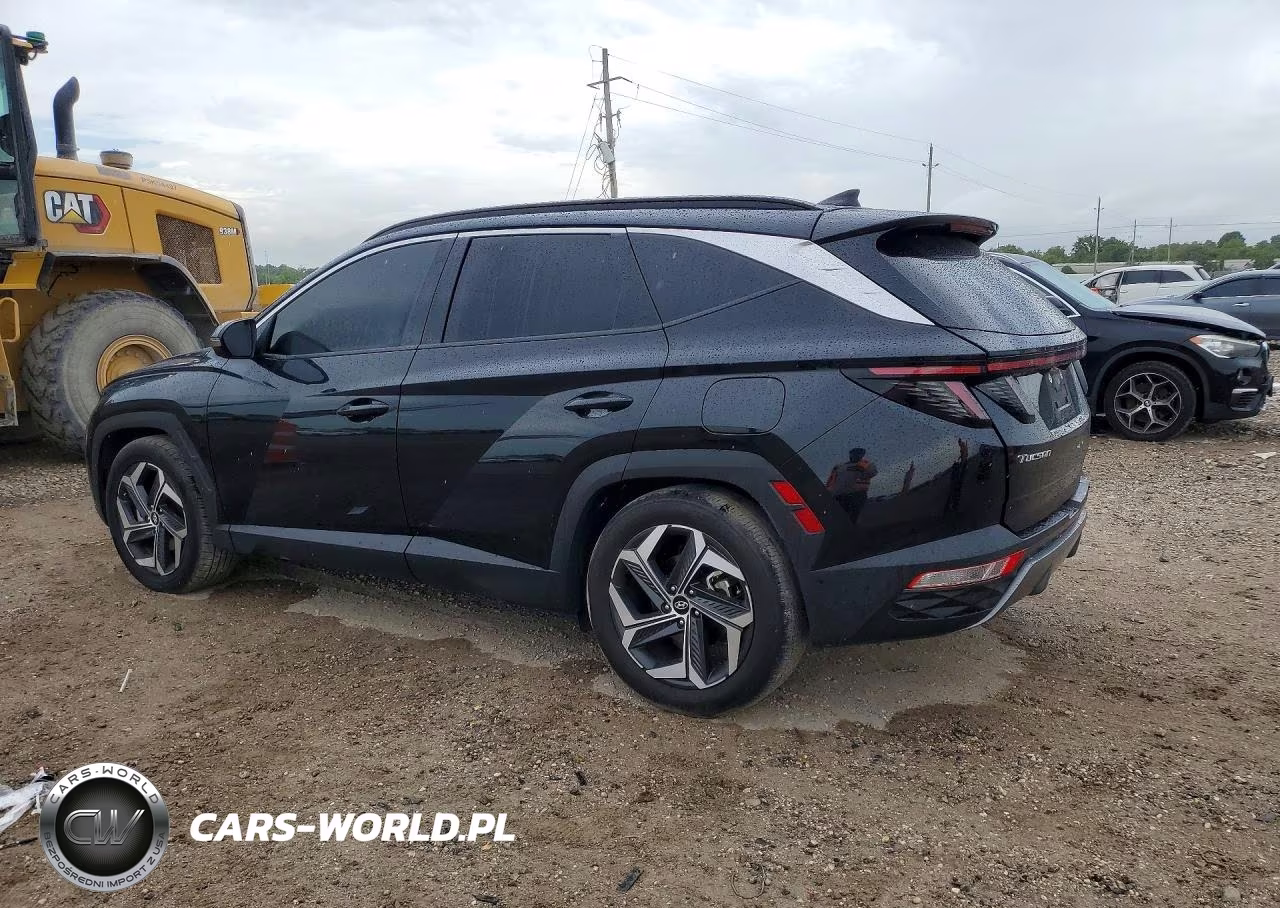 2024 Hyundai Tucson Limited VIN:5NMJE3DE4RH351049 - 2