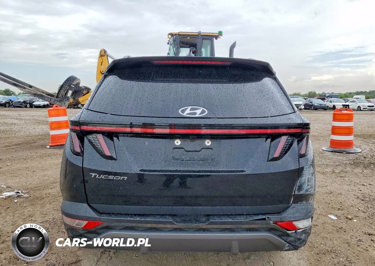 2024 Hyundai Tucson Limited VIN:5NMJE3DE4RH351049 - 6