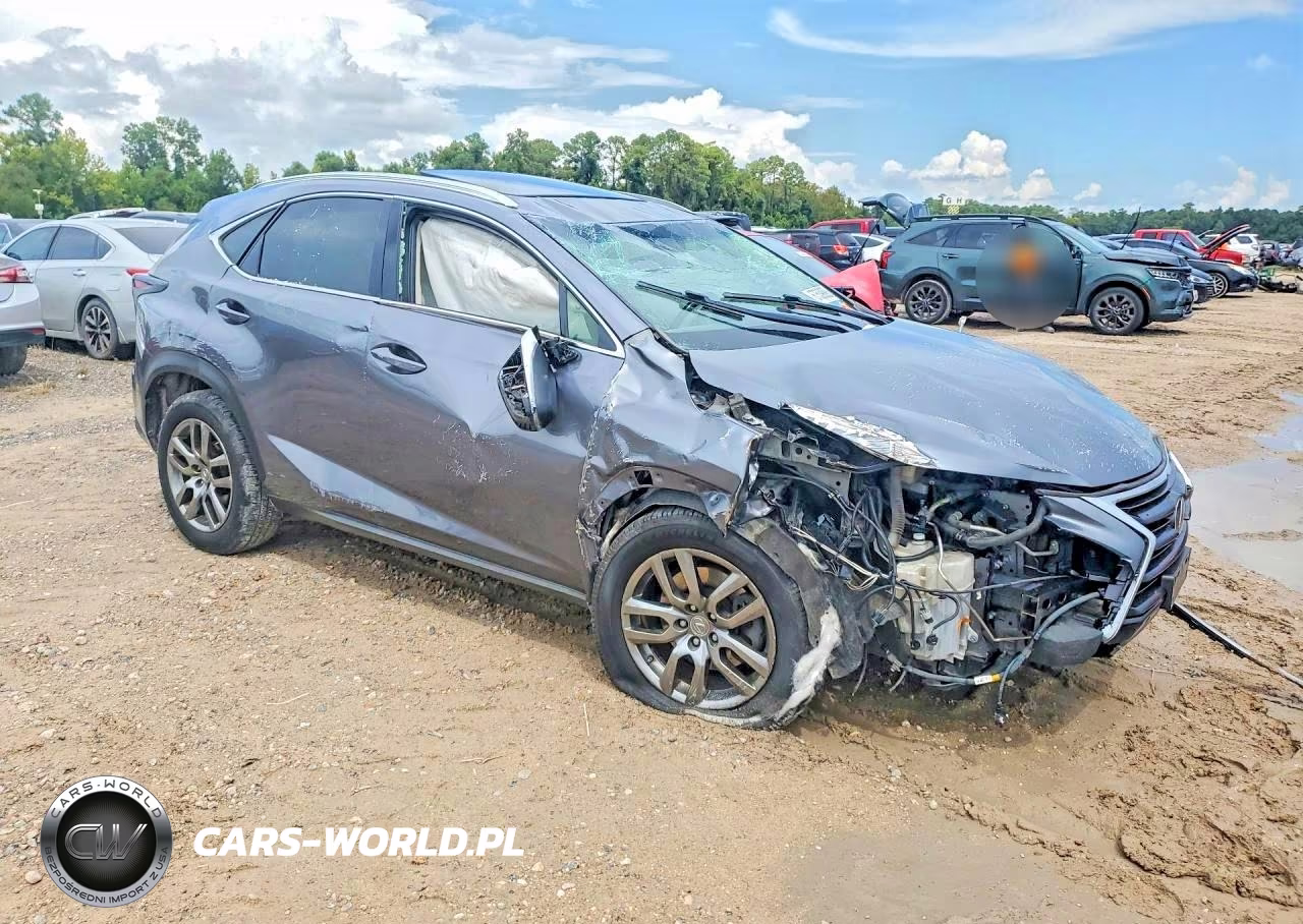 2015 Lexus Nx 200T VIN:JTJYARBZ0F2014264 - 4