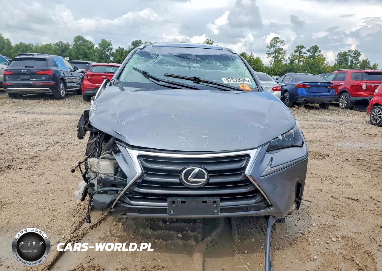 2015 Lexus Nx 200T VIN:JTJYARBZ0F2014264 - 5