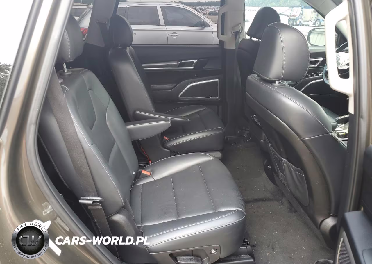 2020 Kia Telluride S VIN:5XYP64HC8LG018005 - 11