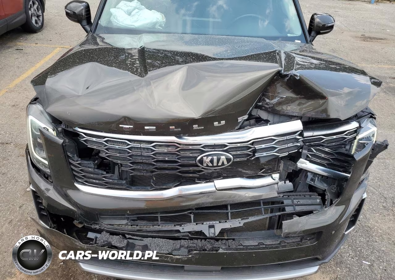 2020 Kia Telluride S VIN:5XYP64HC8LG018005 - 12