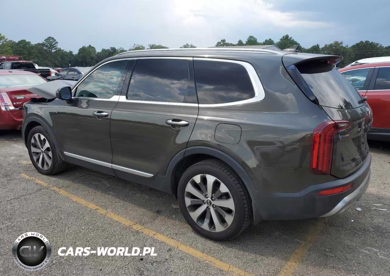 2020 Kia Telluride S VIN:5XYP64HC8LG018005 - 2