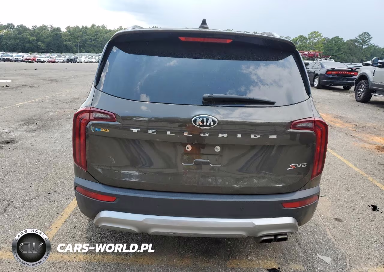 2020 Kia Telluride S VIN:5XYP64HC8LG018005 - 6
