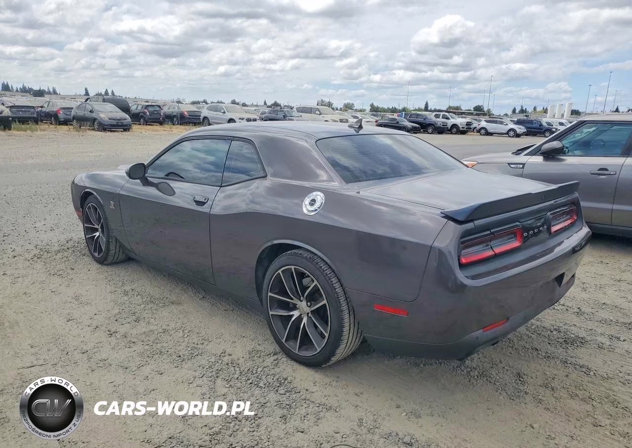 2016 Dodge Challenger R-T Scat Pack VIN:2C3CDZFJ2GH290841 - 2