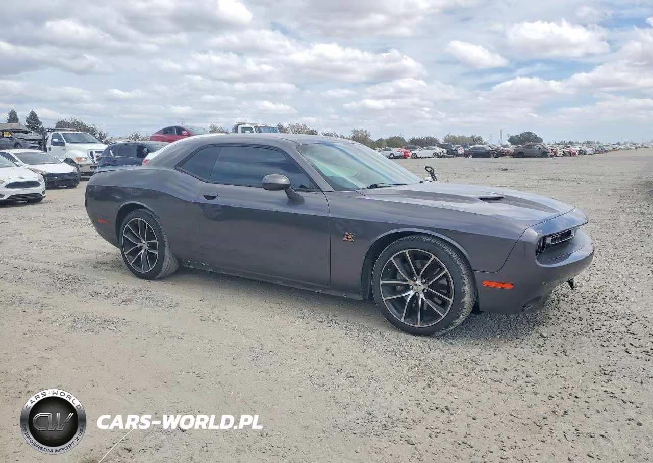 2016 Dodge Challenger R-T Scat Pack VIN:2C3CDZFJ2GH290841 - 4