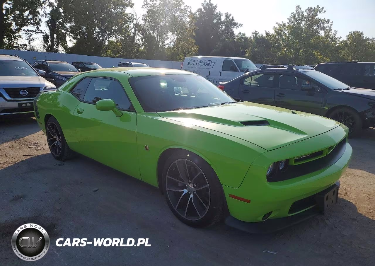 2015 Dodge Challenger R-T Scat Pack VIN:2C3CDZFJ3FH794152 - 4