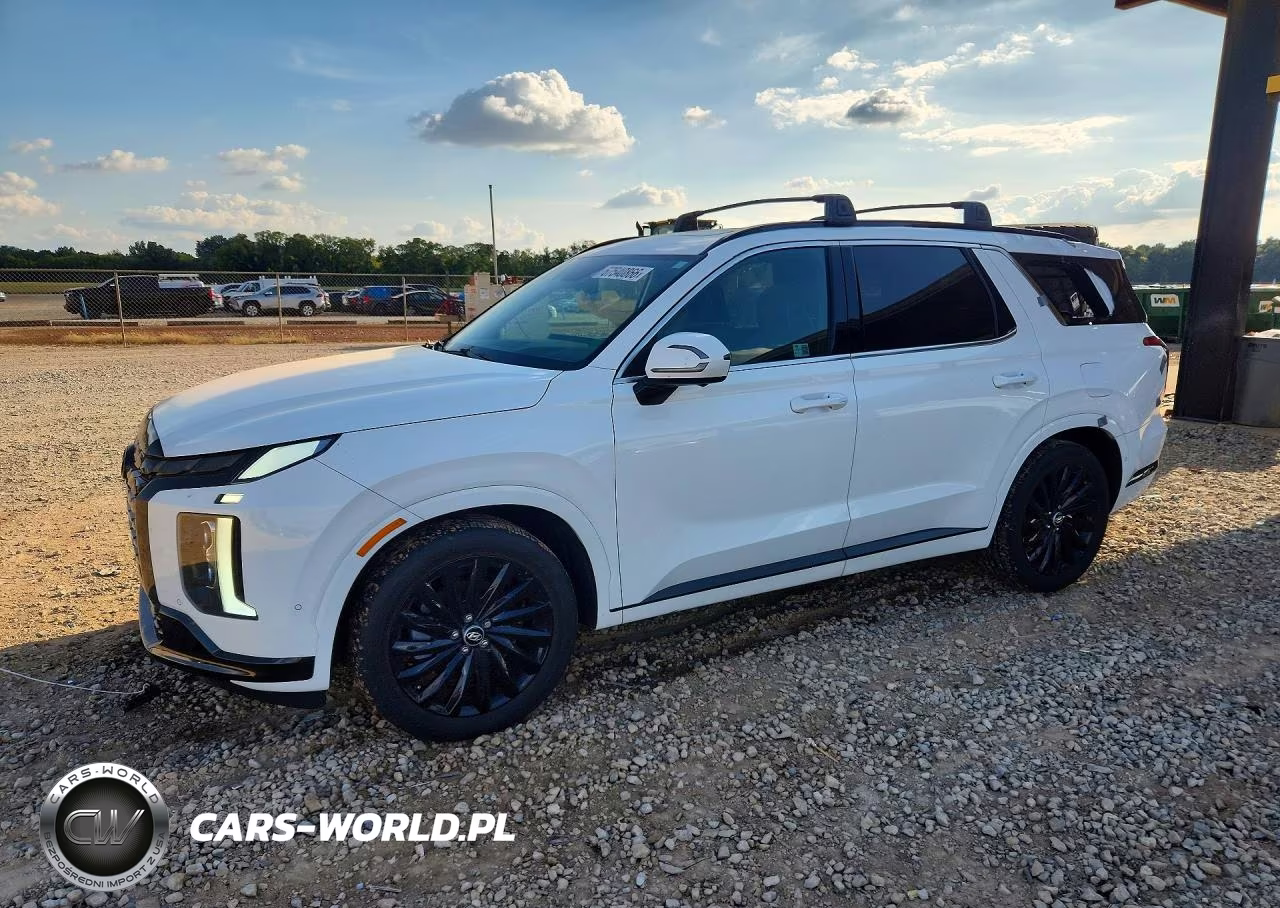 2024 Hyundai Palisade Calligraphy Night Edition VIN:KM8R7DGE6RU713014 - 1