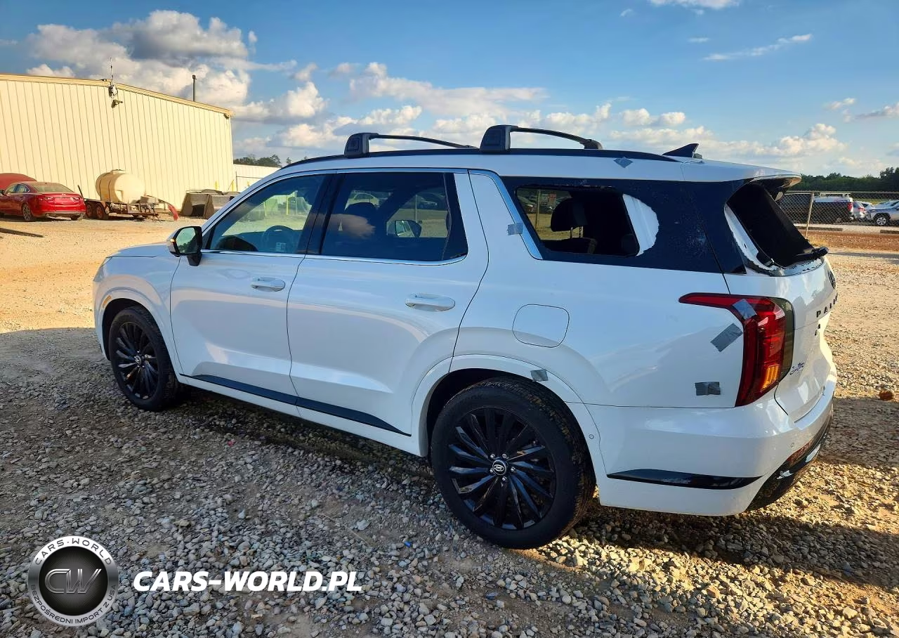 2024 Hyundai Palisade Calligraphy Night Edition VIN:KM8R7DGE6RU713014 - 2