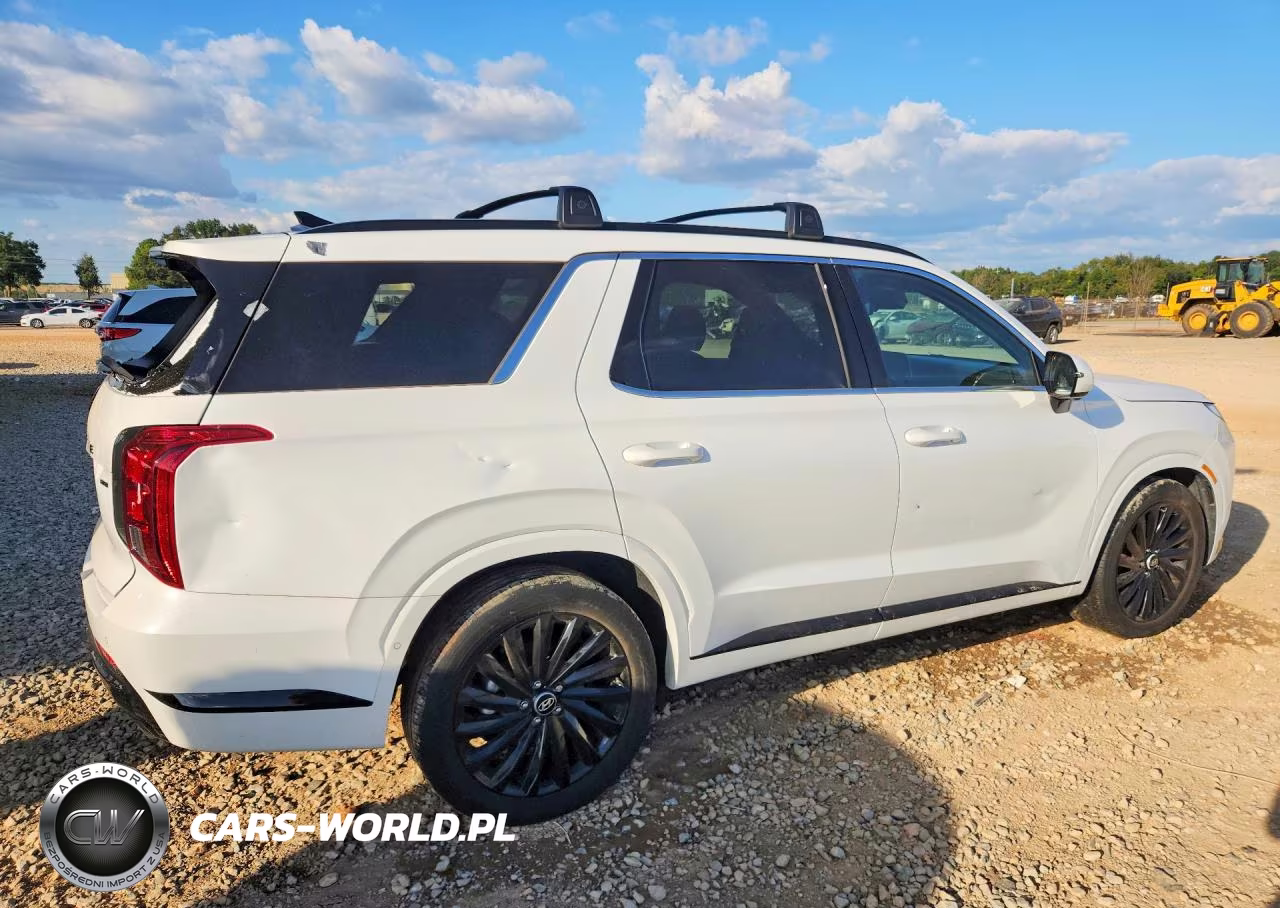 2024 Hyundai Palisade Calligraphy Night Edition VIN:KM8R7DGE6RU713014 - 3
